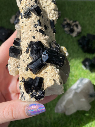 Erongo Black Tourmaline Raw Cluster | High Grade from Curious Muse Crystals Tagged with black, Erongo, fine mineral, hide-notify-btn, Namibia, raw, tourmaline, uv reactive