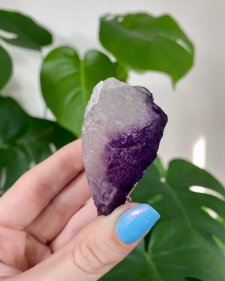 Múzquiz Fluorite from Esperanza Mine, Mexico from Curious Muse Crystals Tagged with fluorescence, fluorite, hide-notify-btn, mexico, muzquiz fluorite, purple, raw crystal, uv reactive