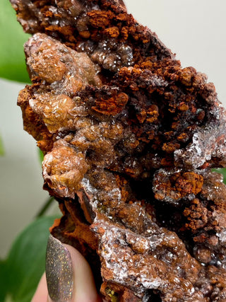 Calcite over Goethite and Limonite | Santa Eulalia, Mexico | G1 from Curious Muse Crystals Tagged with black, brown, calcite, crystal energy, goethite, hide-notify-btn, limonite, mexico, red, reiki healing, santa eulalia, yellow
