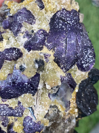 Erongo Fluorite with Tourmaline - High Grade from Curious Muse Crystals Tagged with black, erongo, fine mineral, fluorite, hide-notify-btn, namibia, purple, raw, tourmaline