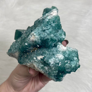 Cubic Green Fluorite with Phantoms from Madagascar from Curious Muse Crystals Tagged with crystal energy, cubic, fluorescence, fluorite, green, hide-notify-btn, madagascar, reiki healing