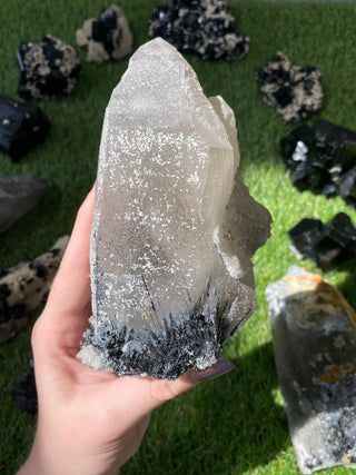 Quartz with Tourmaline from Madagascar - High Grade Collector Mineral from Curious Muse Crystals Tagged with black, clear, clear quartz, crystal energy, fine mineral, hide-notify-btn, inclusion quartz, Madagascar, quartz, reiki healing, tourmaline