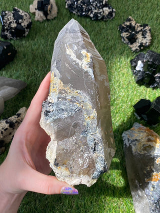 Quartz with Tourmaline from Madagascar - High Grade Collector Mineral from Curious Muse Crystals Tagged with black, clear, clear quartz, crystal energy, fine mineral, hide-notify-btn, inclusion quartz, Madagascar, quartz, reiki healing, tourmaline
