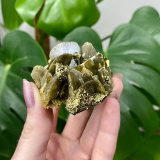 Siderite with Chalcopyrite from Kaiwu Mine, China from Curious Muse Crystals Tagged with brown, chalcopyrite, hide-notify-btn, raw mineral, siderite, yellow