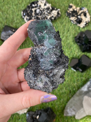 Erongo Fluorite with Tourmaline - High Grade from Curious Muse Crystals Tagged with black, erongo, fine mineral, fluorite, green, hide-notify-btn, namibia, raw, tourmaline