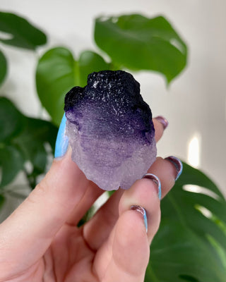 Múzquiz Fluorite from Esperanza, Mexico from Curious Muse Crystals Tagged with fluorescence, fluorite, hide-notify-btn, mexico, muzquiz fluorite, purple, raw crystal, uv reactive