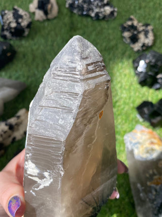 Quartz with Tourmaline from Madagascar - High Grade Collector Mineral from Curious Muse Crystals Tagged with black, clear, clear quartz, crystal energy, fine mineral, hide-notify-btn, inclusion quartz, Madagascar, quartz, reiki healing, tourmaline