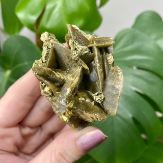 Siderite with Chalcopyrite from Kaiwu Mine, China from Curious Muse Crystals Tagged with brown, chalcopyrite, hide-notify-btn, raw mineral, siderite, yellow