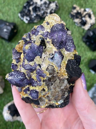 Erongo Fluorite with Tourmaline - High Grade from Curious Muse Crystals Tagged with black, erongo, fine mineral, fluorite, hide-notify-btn, namibia, purple, raw, tourmaline