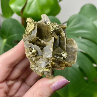 Siderite with Chalcopyrite from Kaiwu Mine, China from Curious Muse Crystals Tagged with brown, chalcopyrite, hide-notify-btn, raw mineral, siderite, yellow