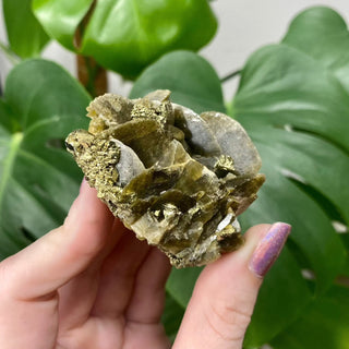 Siderite with Chalcopyrite from Kaiwu Mine, China from Curious Muse Crystals Tagged with brown, chalcopyrite, hide-notify-btn, raw mineral, siderite, yellow