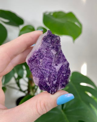 Múzquiz Fluorite from Esperanza Mine, Mexico from Curious Muse Crystals Tagged with fluorescence, fluorite, hide-notify-btn, mexico, muzquiz fluorite, purple, raw crystal, uv reactive