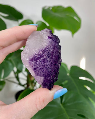Múzquiz Fluorite from Esperanza Mine, Mexico from Curious Muse Crystals Tagged with fluorescence, fluorite, hide-notify-btn, mexico, muzquiz fluorite, purple, raw crystal, uv reactive