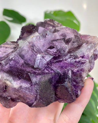 Múzquiz Fluorite with Unique Phantoms from Muzquiz, Mexico from Curious Muse Crystals for 346.00. Tagged with fluorescence, fluorite, hide-notify-btn, mexico, muzquiz fluorite, purple, raw crystal, uv reactive