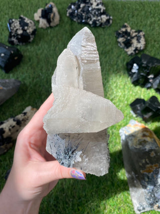 Quartz with Tourmaline from Madagascar - High Grade Collector Mineral from Curious Muse Crystals Tagged with black, clear, clear quartz, crystal energy, fine mineral, hide-notify-btn, inclusion quartz, Madagascar, quartz, reiki healing, tourmaline