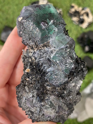 Erongo Fluorite with Tourmaline - High Grade from Curious Muse Crystals Tagged with black, erongo, fine mineral, fluorite, green, hide-notify-btn, namibia, raw, tourmaline