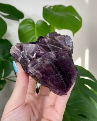 Múzquiz Fluorite with Unique Phantoms from Muzquiz, Mexico from Curious Muse Crystals Tagged with fluorescence, fluorite, hide-notify-btn, mexico, muzquiz fluorite, purple, raw crystal, uv reactive
