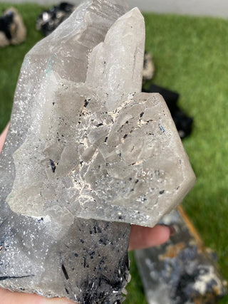 Quartz with Tourmaline from Madagascar - High Grade Collector Mineral from Curious Muse Crystals Tagged with black, clear, clear quartz, crystal energy, fine mineral, hide-notify-btn, inclusion quartz, Madagascar, quartz, reiki healing, tourmaline
