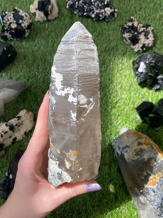 Quartz with Tourmaline from Madagascar - High Grade Collector Mineral from Curious Muse Crystals Tagged with black, clear, clear quartz, crystal energy, fine mineral, hide-notify-btn, inclusion quartz, Madagascar, quartz, reiki healing, tourmaline