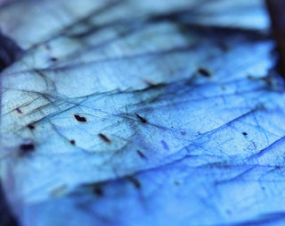 Labradorite | Crystalized Northern Lights