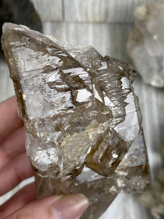 Elestial Smoky Quartz | Minas Gerais, Brazil from Curious Muse Crystals Tagged with Brazilian Quartz, brown, clear, elestial, Elestial Quartz, hide-notify-btn, self healed