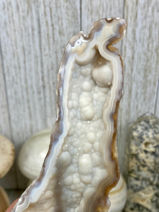 Fossil Agatized Coral Collectors Pair | Tampa Bay, Florida from Curious Muse Crystals Tagged with fine mineral, florida, fossil, Fossil Coral, hide-notify-btn, high grade, orange, raw, red, Tampa Bay, USA, white