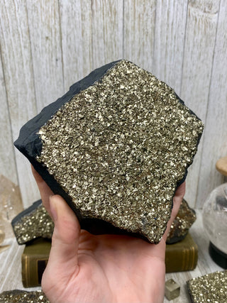 Pyrite on Shungite Raw Layered Plate | Brazil from Curious Muse Crystals Tagged with abundance, black, brazil, cleansing, gold, manifestation, purification, pyrite, shungite