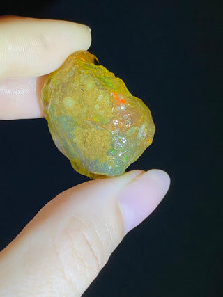 Raw Welo Opal from Ethiopia | Water Opal from Curious Muse Crystals Tagged with Ethiopian opal, flashy opal, hide-notify-btn, opal, rainbow, raw, Welo Opal