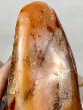 Carnelian Agate Freeform | Red Agate from Madagascar from Curious Muse Crystals Tagged with agate, carnelian, freeform, hide-notify-btn, love, madagascar, red, strength, willpower