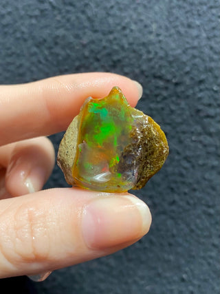 Raw Welo Opal from Ethiopia | Water Opal from Curious Muse Crystals Tagged with Ethiopian opal, flashy opal, hide-notify-btn, opal, rainbow, raw, Welo Opal