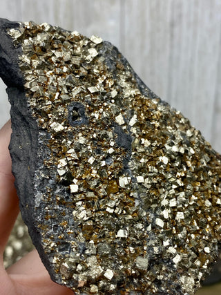 Pyrite on Shungite Raw Layered Plate | Brazil from Curious Muse Crystals Tagged with abundance, black, brazil, cleansing, gold, manifestation, purification, pyrite, shungite