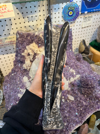 Orthoceras Fossil Statue