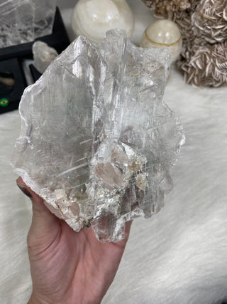 Selenite Raw Specimen Medium on Wood Base | Brazil from Curious Muse Crystals Tagged with brazil, clear, crystal, fine mineral, hide-notify-btn, on stand, raw mineral, raw selenite, selenite