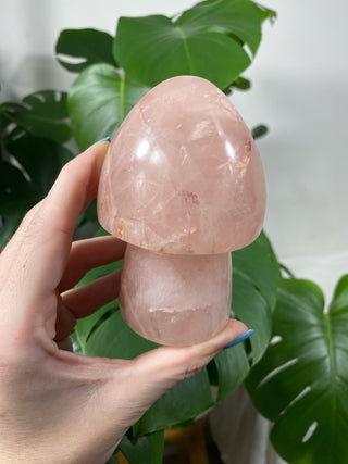 Rose Quartz Mushroom from Curious Muse Crystals for 48. Tagged with asterism, carving, massager, mushroom, pink, rose Quartz, star