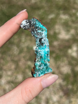 Rosasite with Aurichalcite Raw Specimen | Ojuela Mine, Mexico