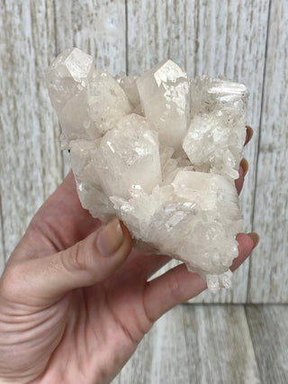 Danburite Raw Crystal Cluster | Caracas, Mexico from Curious Muse Crystals Tagged with clear, crown chakra, Crystal healing, danburite, hide-notify-btn, pink, raw, raw crystal