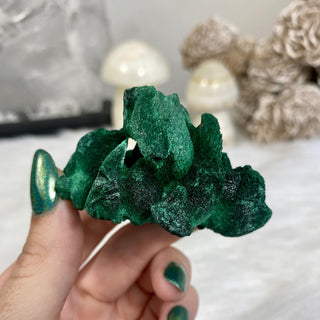 Velvet Malachite Cluster | Fibrous Green Copper Based Crystal from Curious Muse Crystals Tagged with Copper Stone, Crystal Healing, Dark Green Stone, Genuine Crystal, green, Hearth Chakra, hide-notify-btn, Malachite, Manifestation, Mineral Collection, Natural Mineral, Prosperity Wealth, Raw Mineral, Reiki Healing