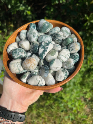 Tree Agate Tumbled Crystal