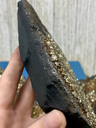 Pyrite on Shungite Raw Layered Plate | Brazil from Curious Muse Crystals Tagged with abundance, black, brazil, cleansing, gold, manifestation, purification, pyrite, shungite