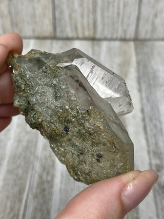 Nirvana Quartz with Green Chlorite Cluster | High-Altitude Himalayan Crystal from Curious Muse Crystals Tagged with chlorite inclusion, clear, green, green Quartz, hand mined crystal, hide-notify-btn, high altitude quartz, High vibration stone, Himalayan Quartz, manifesting Quartz, Nirvana Quartz