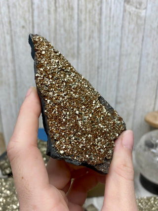 Pyrite on Shungite Raw Layered Plate | Brazil from Curious Muse Crystals Tagged with abundance, black, brazil, cleansing, gold, manifestation, purification, pyrite, shungite