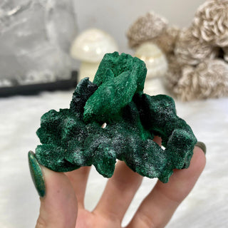 Velvet Malachite Cluster | Fibrous Green Copper Based Crystal from Curious Muse Crystals Tagged with Copper Stone, Crystal Healing, Dark Green Stone, Genuine Crystal, green, Hearth Chakra, hide-notify-btn, Malachite, Manifestation, Mineral Collection, Natural Mineral, Prosperity Wealth, Raw Mineral, Reiki Healing