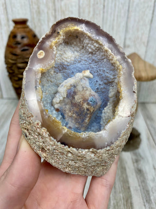 Fossil Ocean Creature Unique Cubic Structure from Curious Muse Crystals Tagged with florida, Fossil Coral, hide-notify-btn, orange, raw, red, Tampa Bay, USA, white