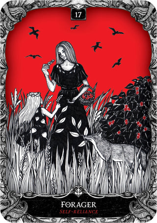 Oracle of the Witch Deck from Rockpool Publishing Tagged with alternative tarot, black red tarot, dark art tarot, divination tool, halloween witch, line drawn art, macabre tarot, modern tarot deck, rider waite, tarot deck, with guidebook