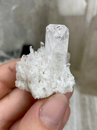 Danburite Raw Crystal Cluster Self Standing | Caracas, Mexico from Curious Muse Crystals Tagged with clear, crown chakra, Crystal healing, danburite, hide-notify-btn, pink, raw, raw crystal