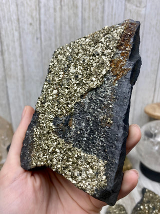 Pyrite on Shungite Raw Layered Plate | Brazil from Curious Muse Crystals Tagged with abundance, black, brazil, cleansing, gold, manifestation, purification, pyrite, shungite