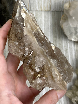 Elestial Smoky Quartz | Minas Gerais, Brazil from Curious Muse Crystals Tagged with Brazilian Quartz, brown, clear, elestial, Elestial Quartz, hide-notify-btn, self healed