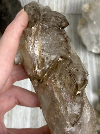 Elestial Smoky Quartz | Minas Gerais, Brazil from Curious Muse Crystals Tagged with Brazilian Quartz, brown, clear, elestial, Elestial Quartz, hide-notify-btn, self healed