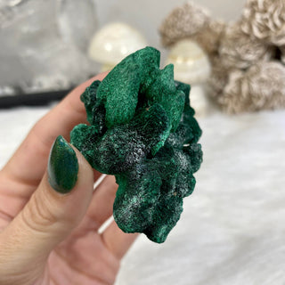 Velvet Malachite Cluster | Fibrous Green Copper Based Crystal from Curious Muse Crystals Tagged with Copper Stone, Crystal Healing, Dark Green Stone, Genuine Crystal, green, Hearth Chakra, hide-notify-btn, Malachite, Manifestation, Mineral Collection, Natural Mineral, Prosperity Wealth, Raw Mineral, Reiki Healing