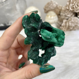 Velvet Malachite Cluster | Fibrous Green Copper Based Crystal from Curious Muse Crystals Tagged with Copper Stone, Crystal Healing, Dark Green Stone, Genuine Crystal, green, Hearth Chakra, hide-notify-btn, Malachite, Manifestation, Mineral Collection, Natural Mineral, Prosperity Wealth, Raw Mineral, Reiki Healing